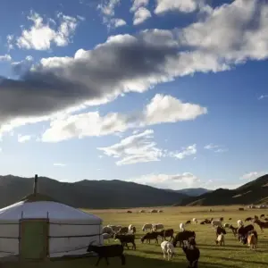 Explore Discovering the Land of Nomads for 13 days with Crooked Compass and discover unforgettable experiences - Photo 5