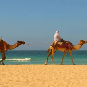 Explore Western Sahara Expedition for 10 days with Crooked Compass and discover unforgettable experiences - Photo 7