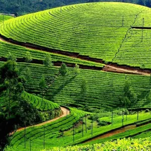 Explore Sapa & Northwest Loop - 7 Days for 7 days with Crossing Vietnam Tour and discover unforgettable experiences - Photo 10