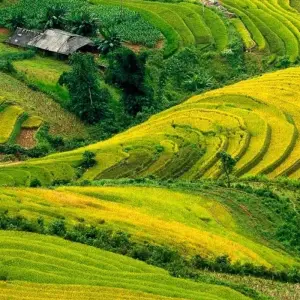 Explore Vietnam: Northwest Loop Vietnam 10 Days/9 Nights for 10 days with Crossing Vietnam Tour and discover unforgettable experiences - Photo 8
