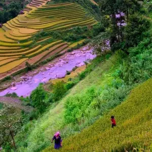 Explore Vietnam: Northwest Loop Vietnam 10 Days/9 Nights for 10 days with Crossing Vietnam Tour and discover unforgettable experiences - Photo 9