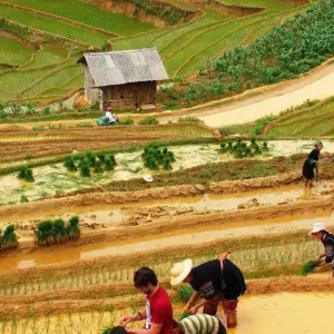 Explore Sapa Walk and Bac Ha Market 4 days for 4 days with Crossing Vietnam Tour and discover unforgettable experiences - Photo 2