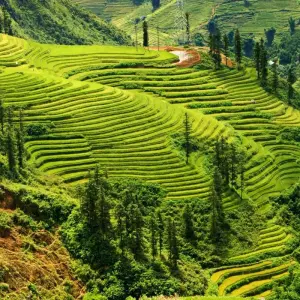 Explore Sapa Walk and Bac Ha Market 4 days for 4 days with Crossing Vietnam Tour and discover unforgettable experiences - Photo 3