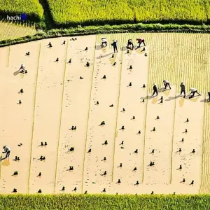 Explore Vietnam : Private North East Loop Tour 6 Days/ 5 Nights for 6 days with Crossing Vietnam Tour and discover unforgettable experiences - Photo 9