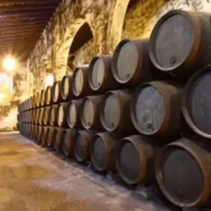 Explore The Soul of Christmas in Andalusia: Cruise to the Heart of the Nativity and Festive Celebrations (port-to-port cruise) for 6 days with CroisiEurope River Cruises and discover unforgettable experiences - Photo 5