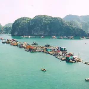 Explore Lan Ha Bay 1-Day Trip with Kayaking, Cooking Class and Sunset Party for 1 days with Crossing Vietnam Tour and discover unforgettable experiences - Photo 3