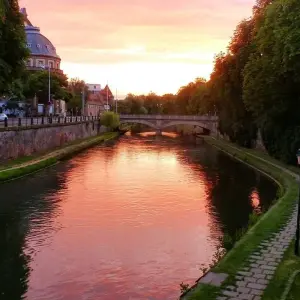 Explore The Magic of Christmas: Savory delights and holiday traditions on a Rhine River cruise for 5 days with CroisiEurope River Cruises and discover unforgettable experiences - Photo 4