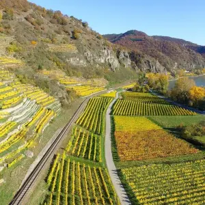 Explore Family Cruise: on the romantic Rhine and in the heart of the Black Forest.Experience history and traditions in a Rhine atmosphere.Optional: a day at Europa Park (port-to-port cruise). for 6 days with CroisiEurope River Cruises and discover unforgettable experiences - Photo 6