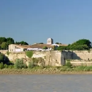 Explore Fall Festival: History, Wine, and Heritage on Rivers in Southwestern France for 5 days with CroisiEurope River Cruises and discover unforgettable experiences - Photo 2
