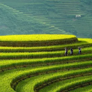 Explore The private Tour of Duong Lam-Mu Cang Chai- Sapa -Bac Ha  7 Days 6 Nights for 7 days with Crossing Vietnam Tour and discover unforgettable experiences - Photo 7