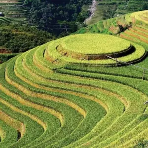 Explore The private Tour of Duong Lam-Mu Cang Chai- Sapa -Bac Ha  7 Days 6 Nights for 7 days with Crossing Vietnam Tour and discover unforgettable experiences - Photo 8