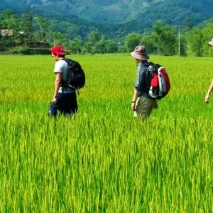 Explore 2-day Mai Chau Short Trekking & Overnight at Local Homestay for 2 days with Crossing Vietnam Tour and discover unforgettable experiences - Photo 10