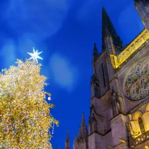 Explore Fall Festival: History, Wine, and Heritage on Rivers in Southwestern France for 5 days with CroisiEurope River Cruises and discover unforgettable experiences - Photo 6