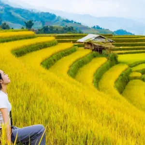 Explore The private Tour of Duong Lam-Mu Cang Chai- Sapa -Bac Ha  7 Days 6 Nights for 7 days with Crossing Vietnam Tour and discover unforgettable experiences - Photo 9