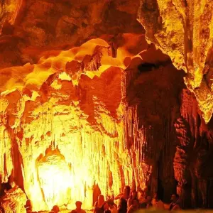 Explore 2 Days Ha Noi - Cat Ba - Lan Ha Bay on Deluxe Cruise with Kayaking for 2 days with Crossing Vietnam Tour and discover unforgettable experiences - Photo 5