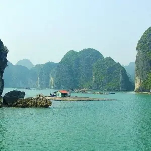 Explore 2 Days Ha Noi - Cat Ba - Lan Ha Bay on Deluxe Cruise with Kayaking for 2 days with Crossing Vietnam Tour and discover unforgettable experiences - Photo 11