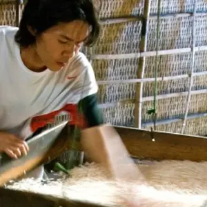 Explore From the Mekong Delta to the Temples of Angkor & The Imperial Cities (port-to-port cruise) (21 destinations) for 18 days with CroisiEurope River Cruises and discover unforgettable experiences - Photo 2