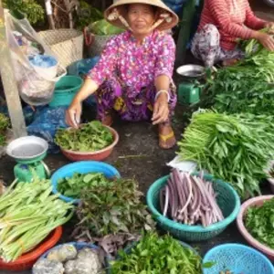 Explore From the Mekong Delta to the Temples of Angkor & The Imperial Cities (port-to-port cruise) (21 destinations) for 18 days with CroisiEurope River Cruises and discover unforgettable experiences - Photo 10