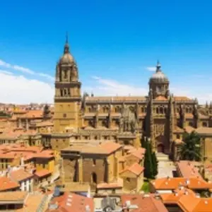 Explore From Portugal to Spain: Porto, the Douro Valley (Portugal) and Salamanca (Spain) - INFANTE D.HENRIQUE for 8 days with CroisiEurope River Cruises and discover unforgettable experiences - Photo 4