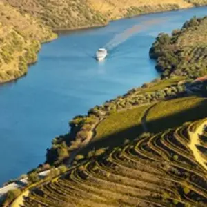 Explore Porto and the Douro Valley (port-to-port cruise) - MIGUEL TORGA (5 destinations) for 6 days with CroisiEurope River Cruises and discover unforgettable experiences - Photo 11