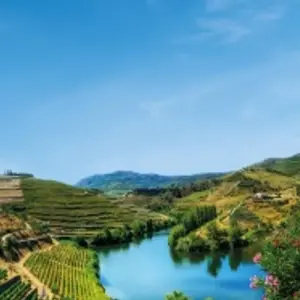 Explore From Portugal to Spain: Porto, the Douro Valley (Portugal) and Salamanca (Spain) (port-to-port cruise) - AMALIA RODRIGUES for 8 days with CroisiEurope River Cruises and discover unforgettable experiences - Photo 2