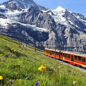 Explore From the Heart of Alsace to Summits in the Swiss Alps (port-to-port cruise) for 5 days with CroisiEurope River Cruises and discover unforgettable experiences - Photo 4