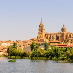 Explore From Portugal to Spain: Porto, the Douro Valley (Portugal) and Salamanca (Spain) (port-to-port cruise) - FERNAO DE MAGALHAES for 8 days with CroisiEurope River Cruises and discover unforgettable experiences - Photo 4
