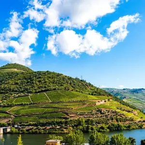 Explore From Portugal to Spain: Porto, the Douro Valley (Portugal) and Salamanca (Spain) (port-to-port cruise) - FERNAO DE MAGALHAES for 8 days with CroisiEurope River Cruises and discover unforgettable experiences - Photo 7