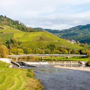 Explore From the Heart of Alsace to Summits in the Swiss Alps (port-to-port cruise) for 5 days with CroisiEurope River Cruises and discover unforgettable experiences - Photo 7