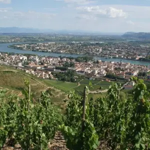 Explore The tip of Provence to Lyon on the Rhône and Saône Rivers (port-to-port cruise) for 7 days with CroisiEurope River Cruises and discover unforgettable experiences - Photo 2