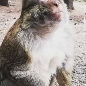 Explore From Marrakech to Fes private Desert tour ( Luxury Camp ) for 3 days with Cultural Morocco Tours and discover unforgettable experiences - Photo 2