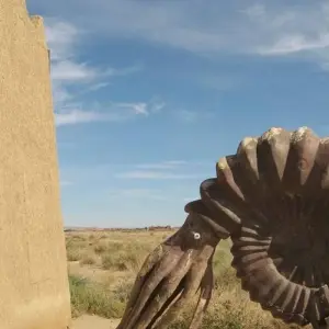 Explore 4 Days desert Tour from Fez to Marrakech ( Luxury Camp ) for 4 days with Cultural Morocco Tours and discover unforgettable experiences - Photo 4