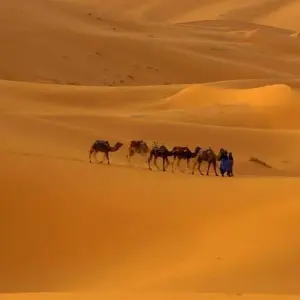 Explore 3 Day Sahara desert  tour from Marrakech for 3 days with Cultural Morocco Tours and discover unforgettable experiences - Photo 4