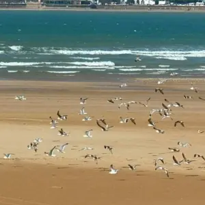 Explore 9-day cultural Morocco tour from Casablanca ( Private tour ) for 9 days with Cultural Morocco Tours and discover unforgettable experiences - Photo 5
