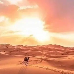 Explore 3 days From Marrakech to Fes private tour for 3 days with Cultural Morocco Tours and discover unforgettable experiences - Photo 4