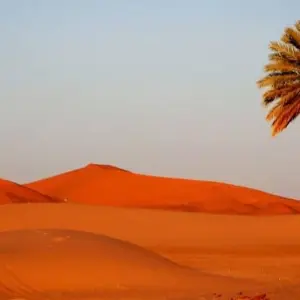 Explore From Marrakech to Fes private Desert tour ( Luxury Camp ) for 3 days with Cultural Morocco Tours and discover unforgettable experiences - Photo 6