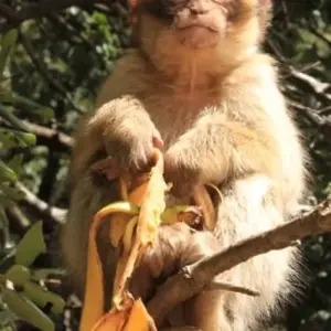 Explore From Fes to Marrakesh Desert experience ( Luxury Accommodations ) for 3 days with Cultural Morocco Tours and discover unforgettable experiences - Photo 3