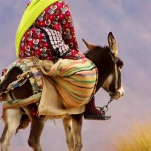 Explore From Marrakech to Fes private Desert tour ( Luxury Camp ) for 3 days with Cultural Morocco Tours and discover unforgettable experiences - Photo 9