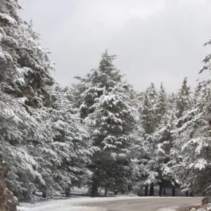 Explore "Private Morocco Tour: Tangier to Marrakech" for 6 days with Cultural Morocco Tours and discover unforgettable experiences - Photo 3