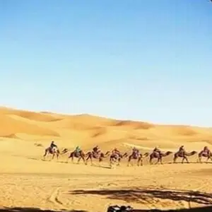 Explore 8-Day Private Morocco Tour from Casablanca for 8 days with Cultural Morocco Tours and discover unforgettable experiences - Photo 3