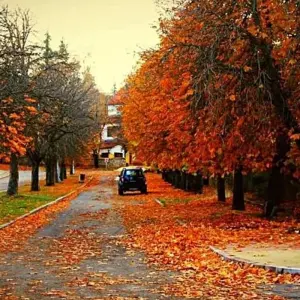 Explore From Fes to Marrakesh Desert experience ( Luxury Accommodations ) for 3 days with Cultural Morocco Tours and discover unforgettable experiences - Photo 5