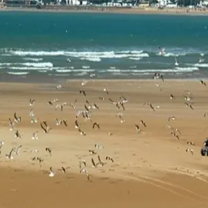 Explore 15-Day Morocco "Private" ​tour from Casablanca - Highlights of Morocco for 15 days with Cultural Morocco Tours and discover unforgettable experiences - Photo 3