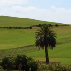 Explore Private tour: Casablanca to Marrakech via Chefchaouen, Fes, and Desert. for 7 days with Cultural Morocco Tours and discover unforgettable experiences - Photo 5