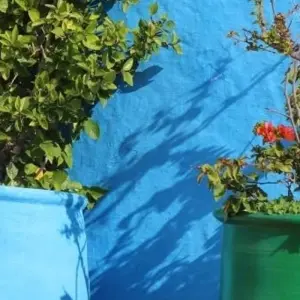 Explore 4 Days from Marrakech to Fes via Essaouira / Chefchaouen for 4 days with Cultural Morocco Tours and discover unforgettable experiences - Photo 5