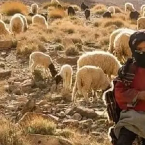 Explore Private 9-Day Morocco Tour: Casablanca to Tangier, Exploring Essaouira, Marrakech, Desert, Fes, and Chefchaouen for 9 days with Cultural Morocco Tours and discover unforgettable experiences - Photo 10