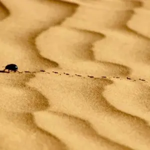 Explore From Fes to Marrakesh Desert experience ( Luxury Accommodations ) for 3 days with Cultural Morocco Tours and discover unforgettable experiences - Photo 9