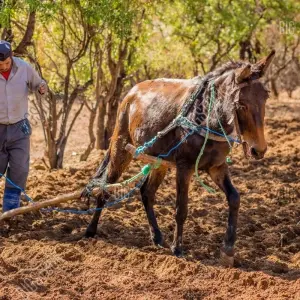 Explore FROM TANGIER MOROCCO PRIVATE TOUR for 9 days with Cultural Morocco Tours and discover unforgettable experiences - Photo 5