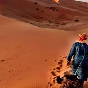 Explore Private 6-Day through Marrakech & the Sahara Desert for 6 days with Cultural Morocco Tours and discover unforgettable experiences - Photo 4