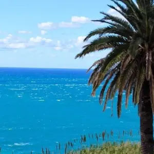 Explore 4 Days from Marrakech to Fes via Essaouira / Chefchaouen for 4 days with Cultural Morocco Tours and discover unforgettable experiences - Photo 8