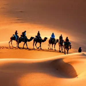 Explore 7-Day Private Tour: Casablanca, Chefchaouen, Fes, Desert, Marrakech, and Beyond for 7 days with Cultural Morocco Tours and discover unforgettable experiences - Photo 2